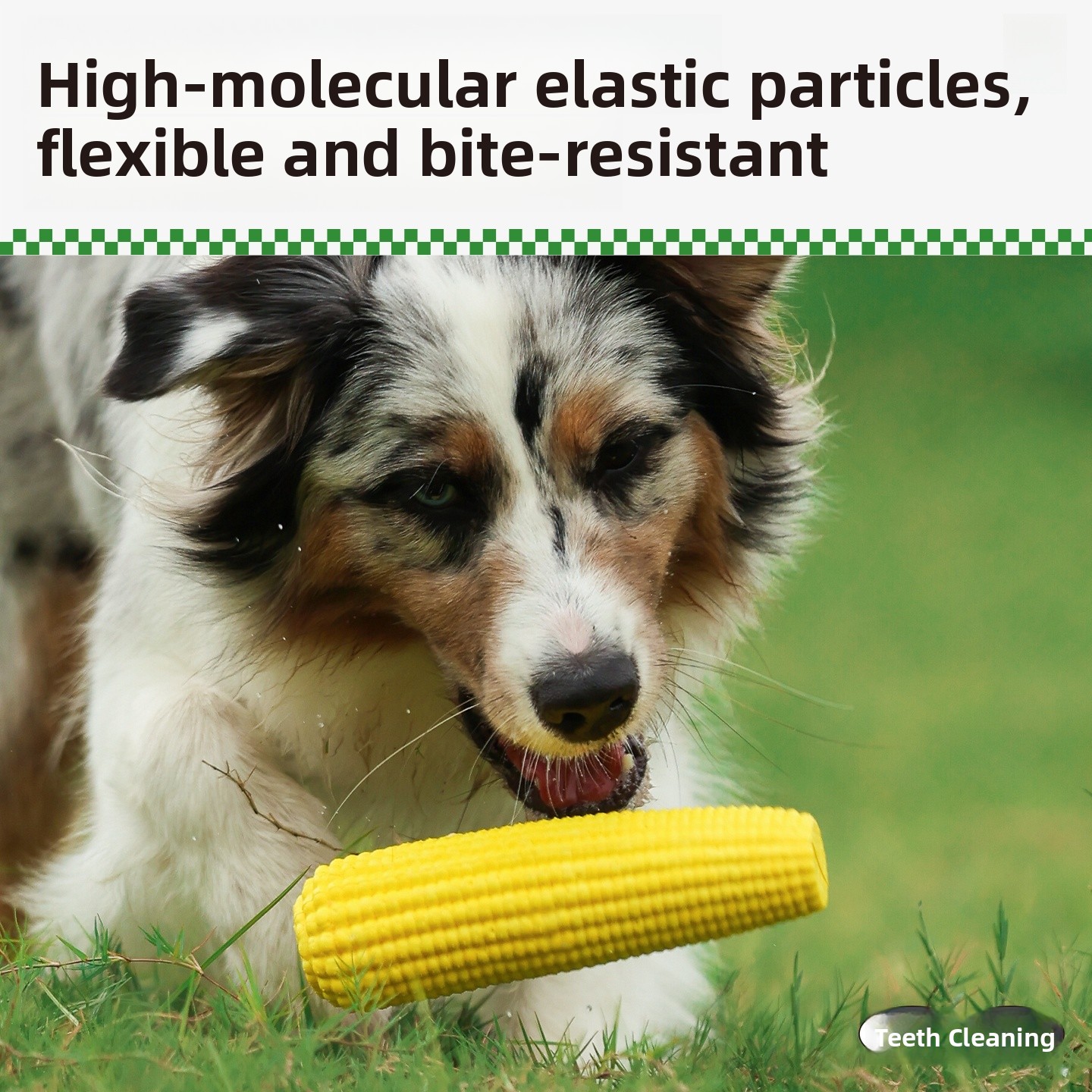 QZee Durable ETPU Corn Dog Toy – Corn Dog Stick Bewertung und Preis