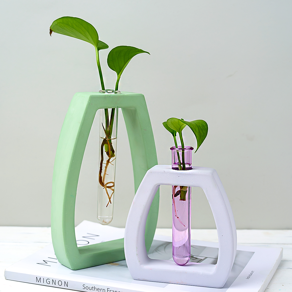 Hydroponic Test Tube Vase Sili – Potsticker Mold Bewertung und Preis