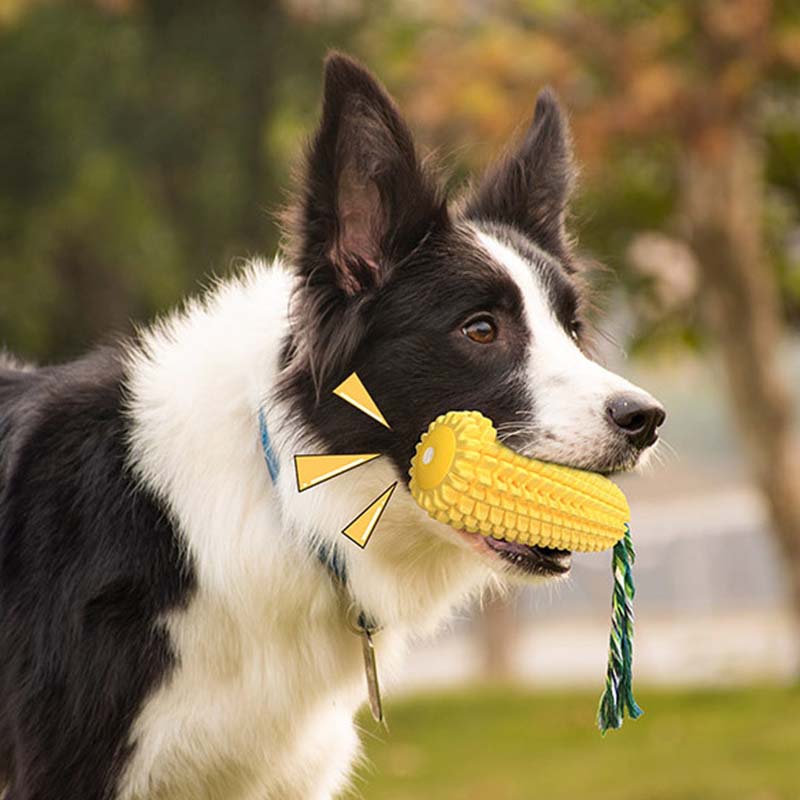 Hot Selling Large Size Corn Sh – Corn Dog Stick Bewertung und Preis