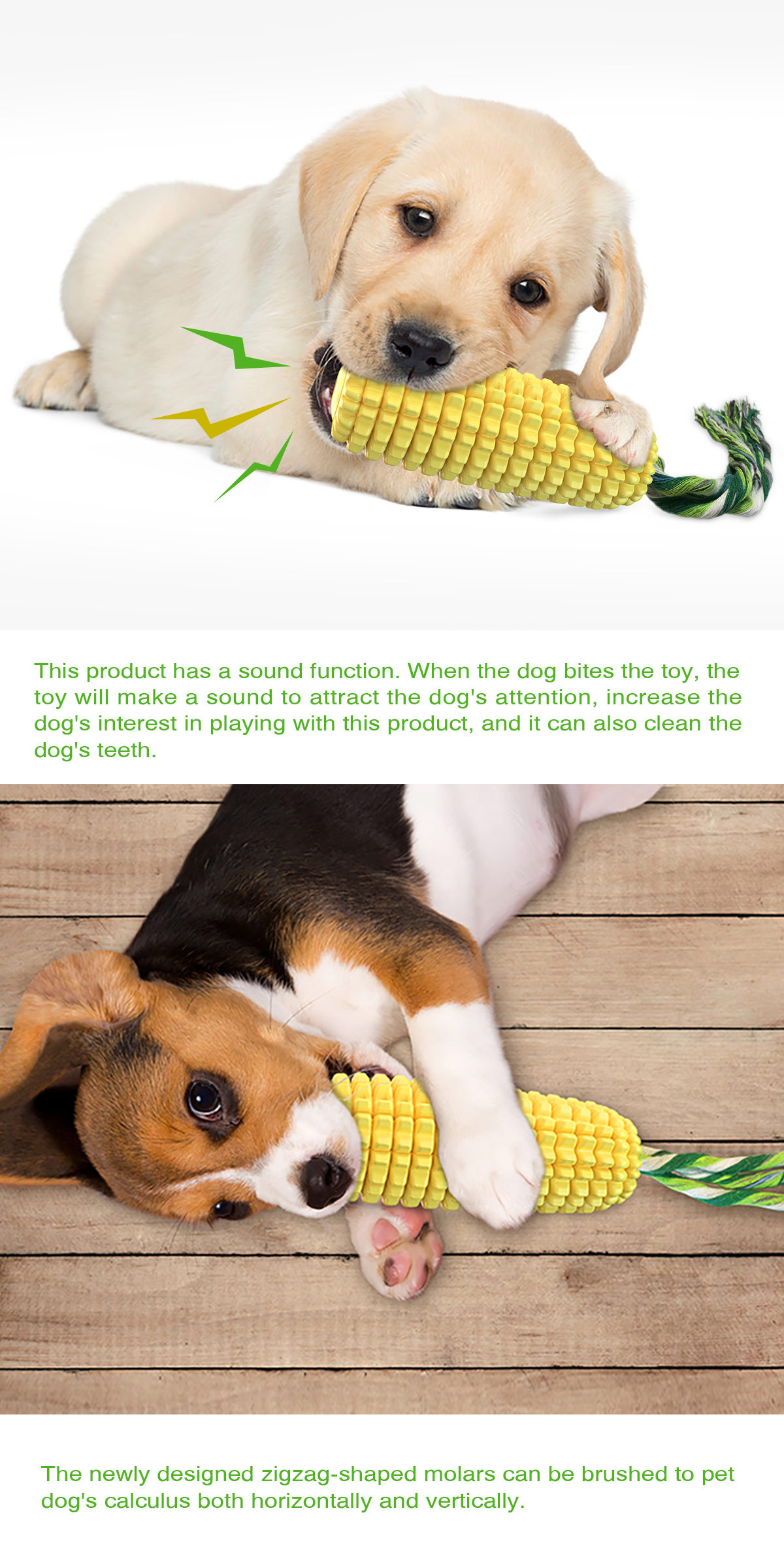 Hot Selling Large Size Corn Sh – Corn Dog Stick Bewertung und Preis